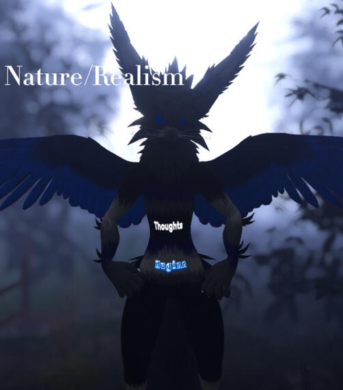 Nature/Realism